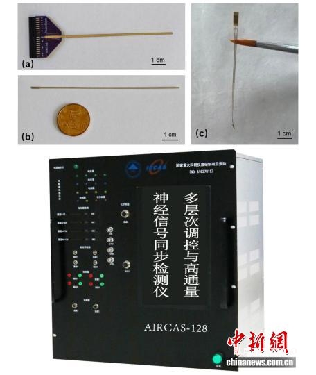 我國(guó)腦機(jī)接口臨床試驗(yàn)成功 實(shí)現(xiàn)腦深部腫瘤精準(zhǔn)定位-肽度TIMEDOO